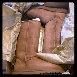 New Ugg boots (tall) chestnut Size 7